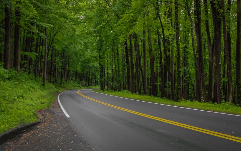 Road Coating Service in Greenville, SC